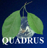 Quadrus